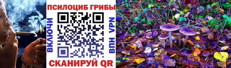 Псилоцибиновые грибы Magic Shrooms  Купить где  Аша 