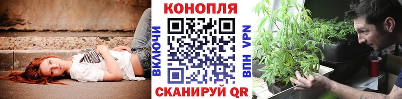 Бошки Шишки тримм Купить закладки Аша